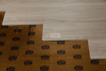 Tarkett Funky House GUSTO фото 10 | FLOORDEALER